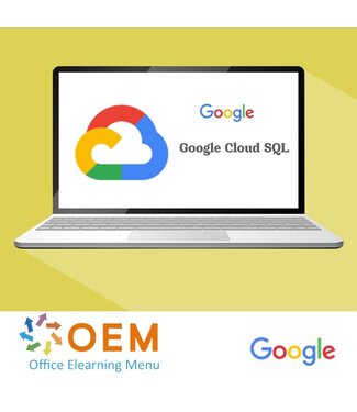 Google Google Cloud SQL for Developers Cursus E-Learning