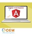 Angular 11 Development Training