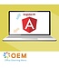 OEM AngularJS Fundamentals Training