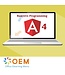 Angular Reactive Programming Training