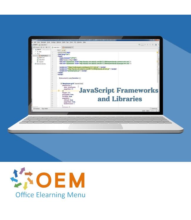 JavaScript Frameworks and Libraries Training