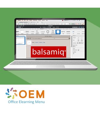 OEM Balsamiq Training
