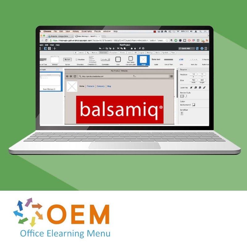 Balsamiq Training