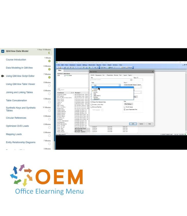 OEM Business Intelligence with QlikView Training