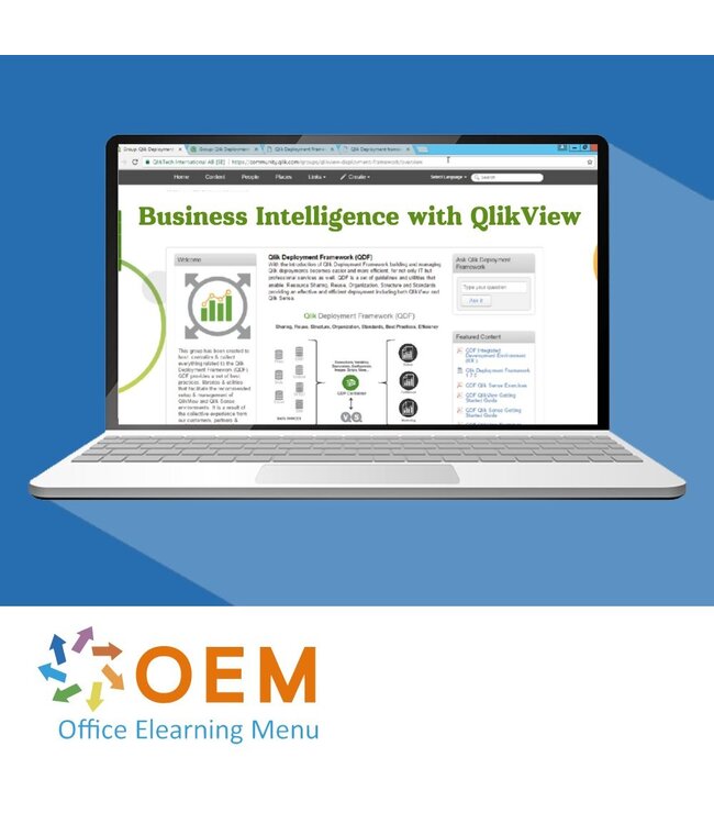 OEM Business Intelligence with QlikView Training