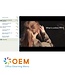 Digital Marketing Training