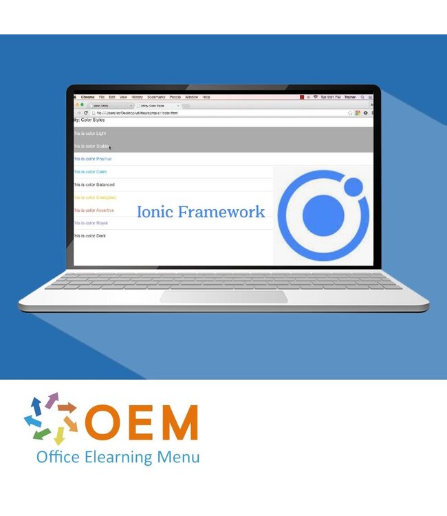 OEM Ionic Framework Training