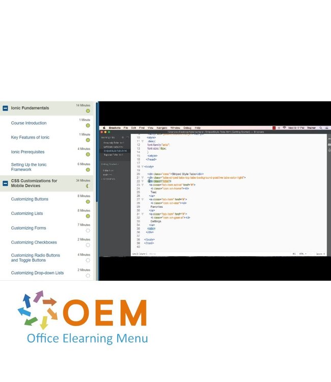 OEM Ionic Framework Training