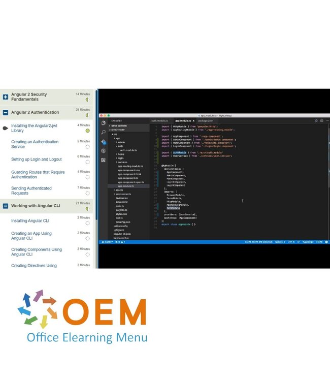 OEM  AngularJS 2.0 Training