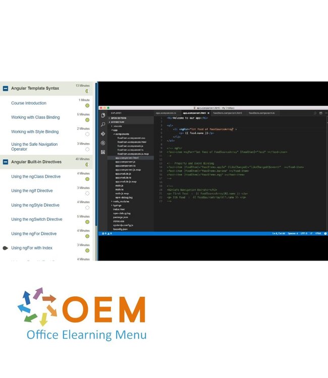 OEM  AngularJS 2.0 Training