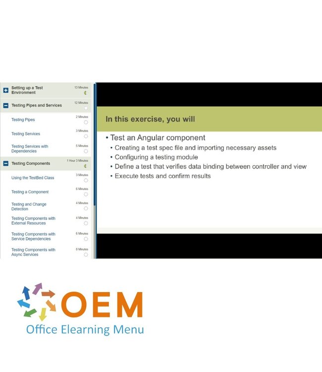 OEM  AngularJS 2.0 Training