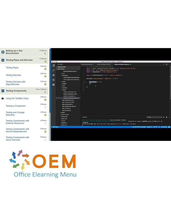 OEM  AngularJS 2.0 Training