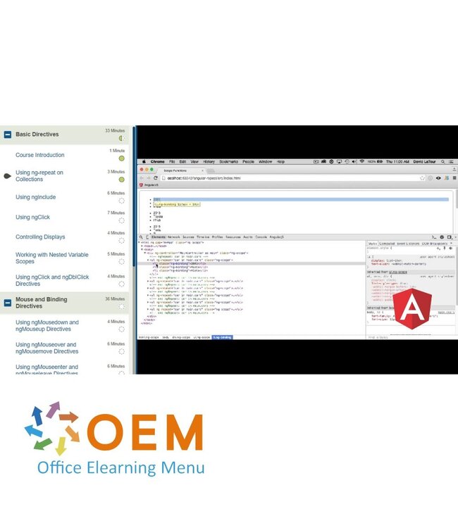 OEM AngularJS Fundamentals Training