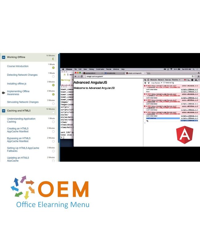 OEM Advanced AngularJS Training