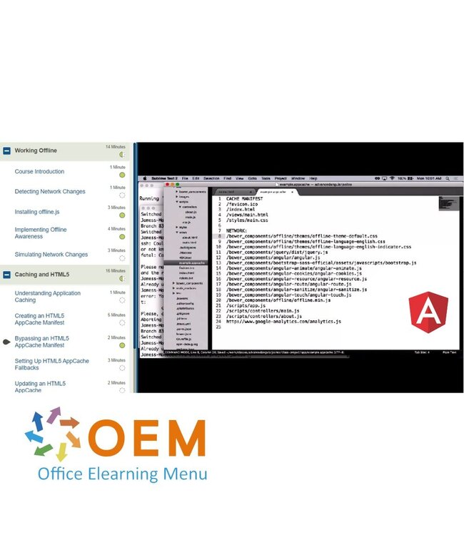 OEM Advanced AngularJS Training