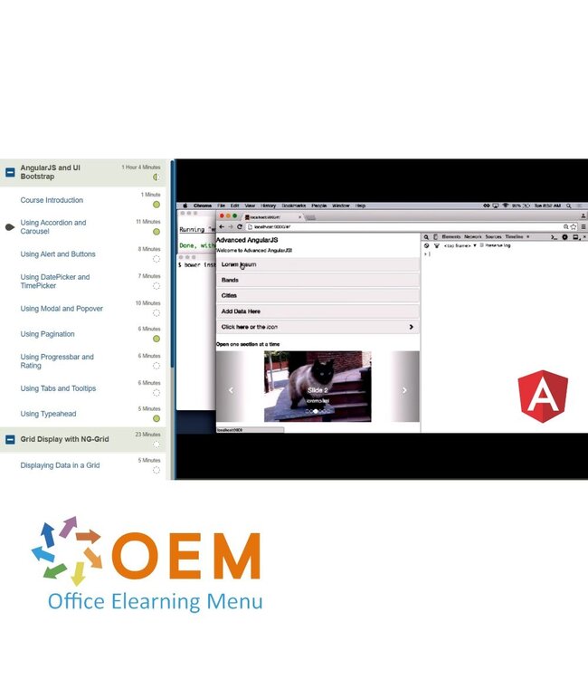 OEM Advanced AngularJS Training