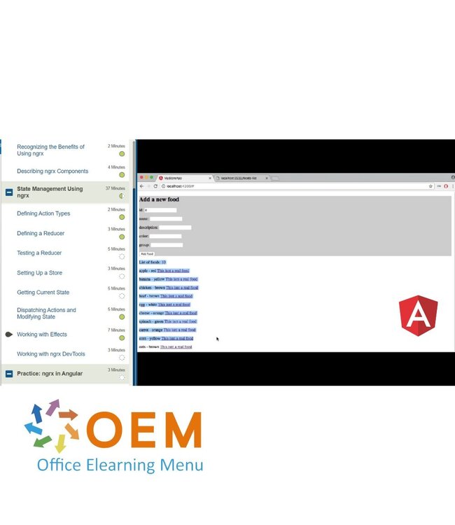 OEM Angular Reactive Programming Training