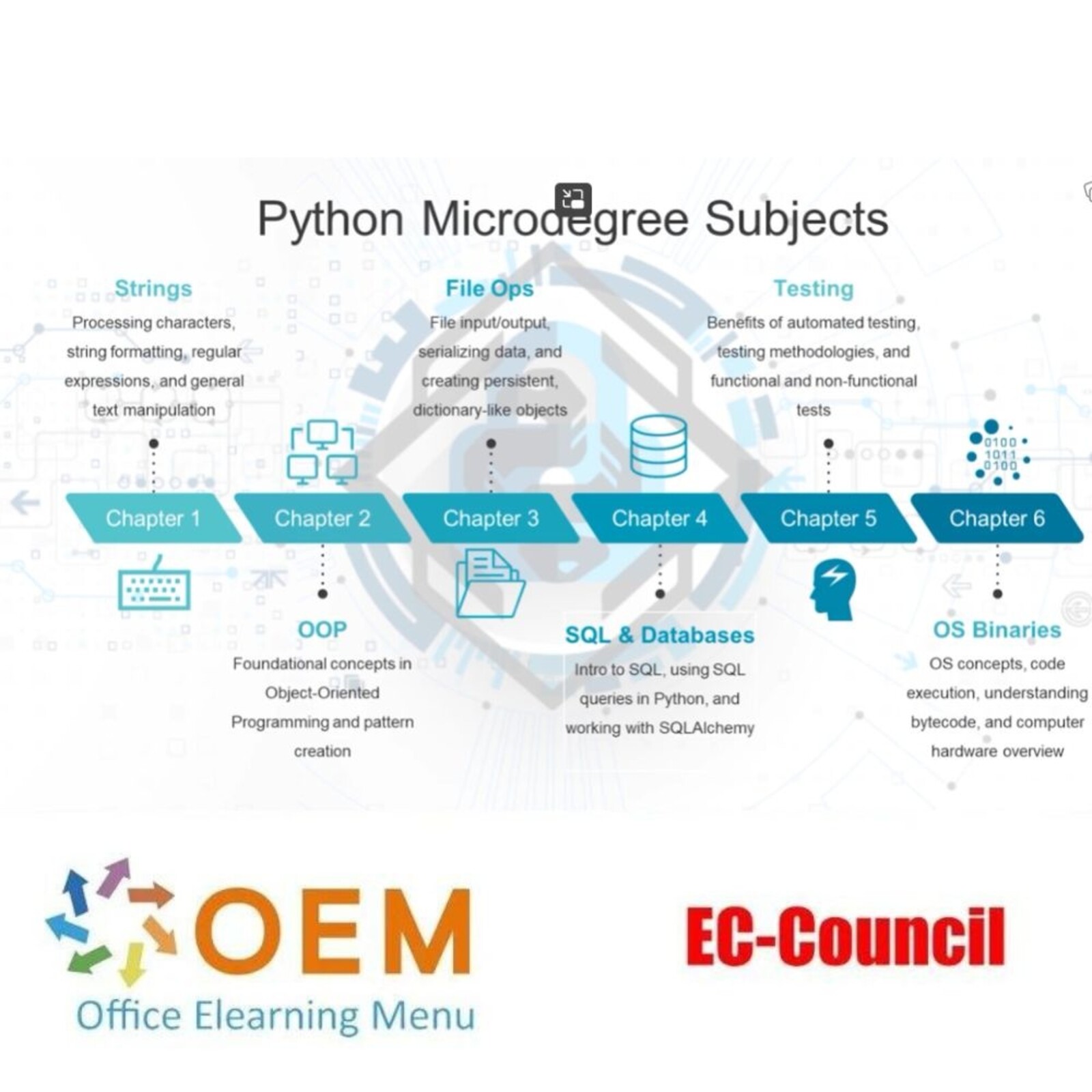 EC-Council Python Security MicroDegree