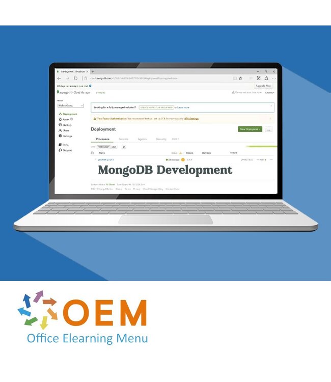 MongoDB Development Training