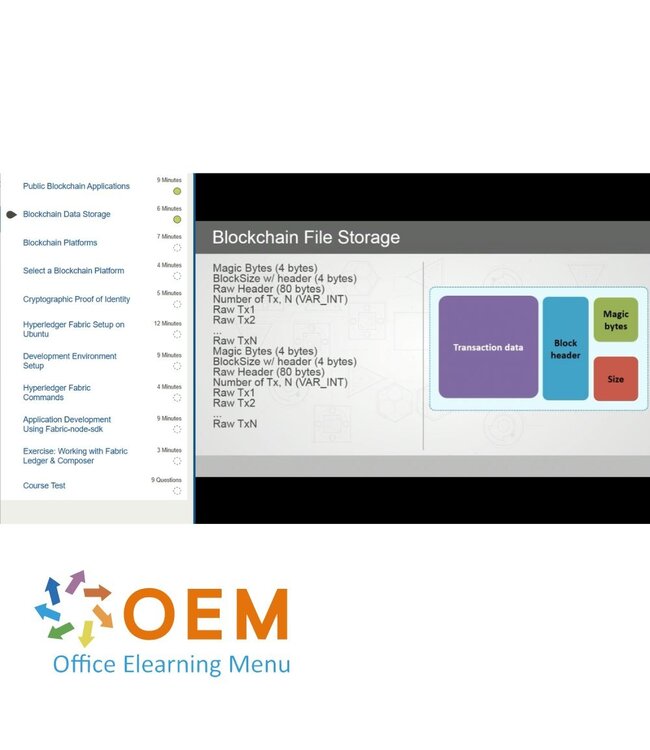 OEM Developing and Implementing Blockchain Solutions Training