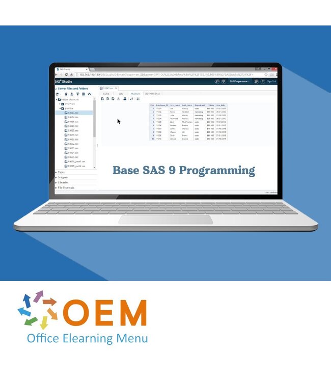 SAS Base SAS 9 Programming Training
