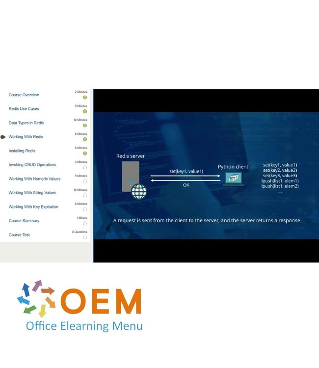 Redis Introduction to Redis Training