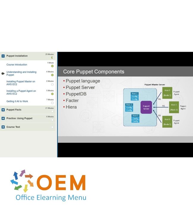 OEM Using Puppet Training