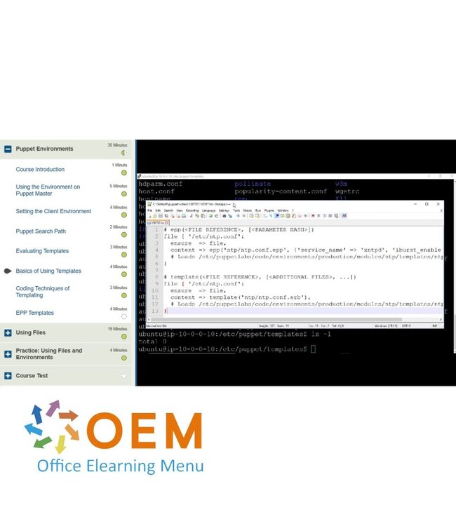 OEM Master DevOps with Puppet Training