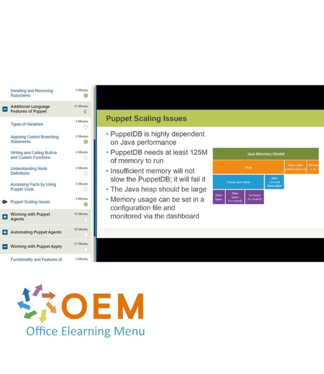 OEM Puppet Beyond the Basics Training