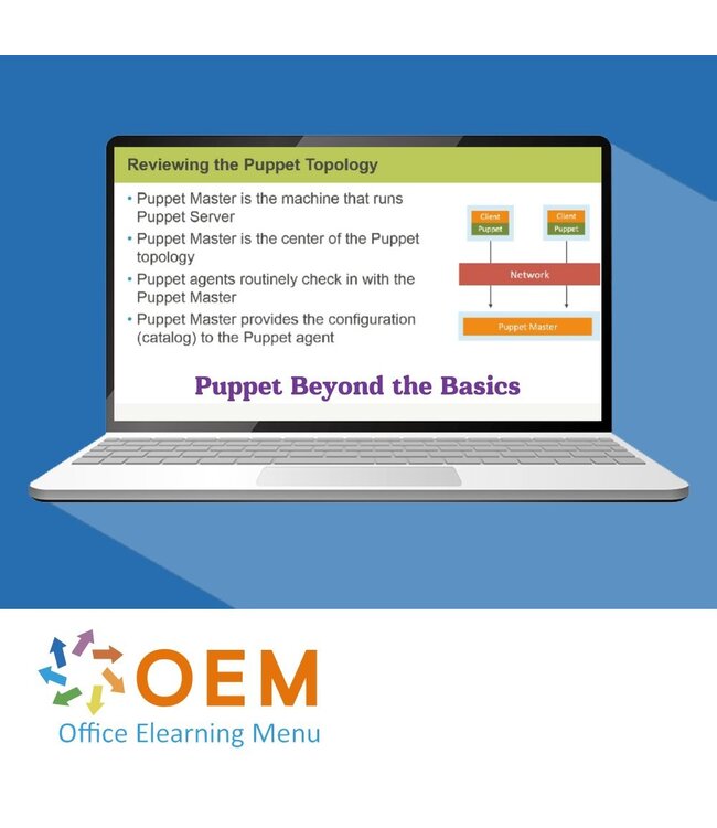 Puppet Beyond the Basics Training