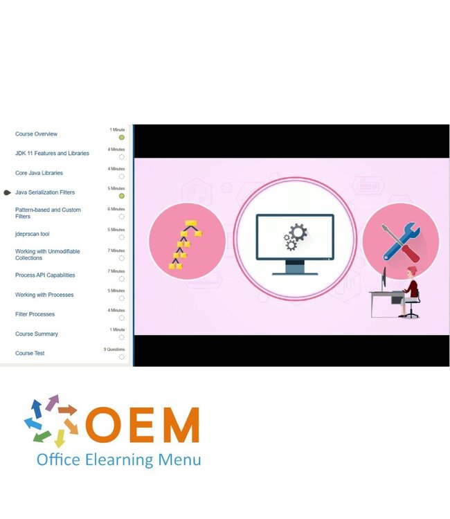 Oracle Java SE 11 Programmer II 1Z0-816 Training
