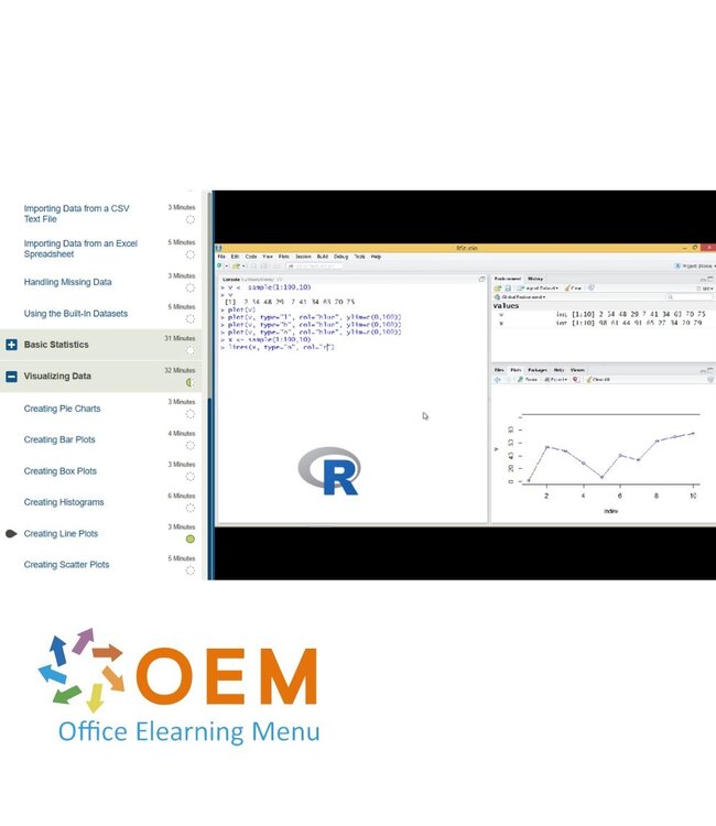 OEM Introduction to R Programming Training