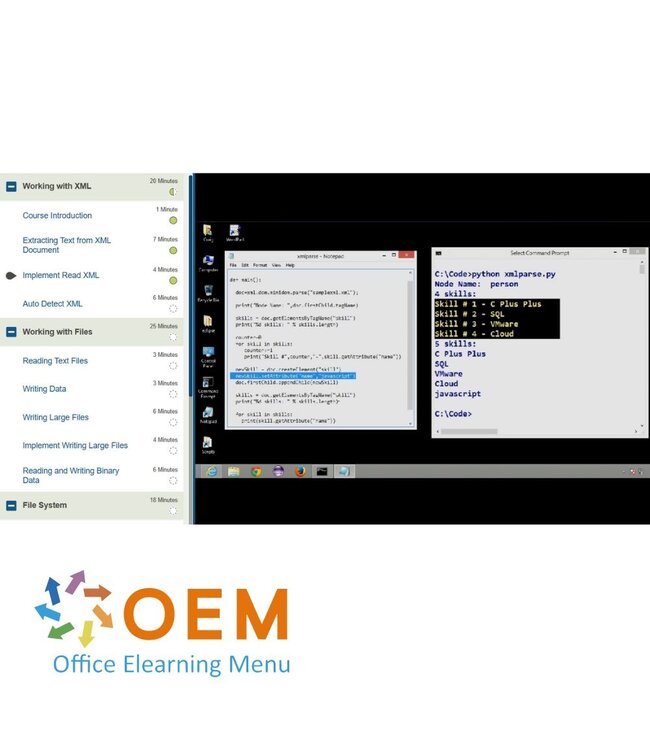 OEM Developing with Python Training