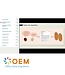 Programming Fundamentals Training