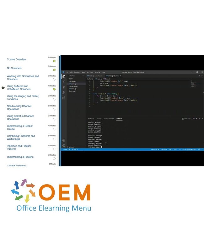 Google Advanced Programming in Go Training