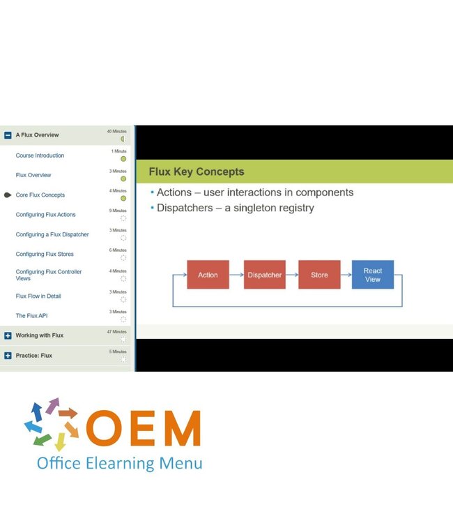 OEM Application Development with React and Flux Training