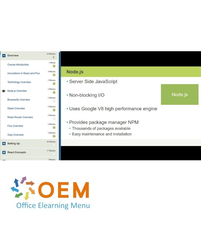 OEM Application Development with React and Flux Training