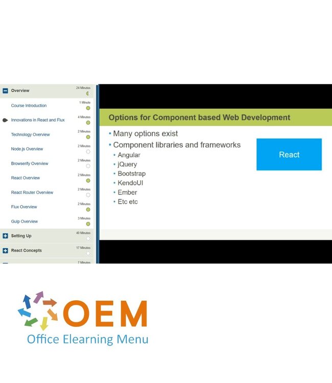 OEM Application Development with React and Flux Training