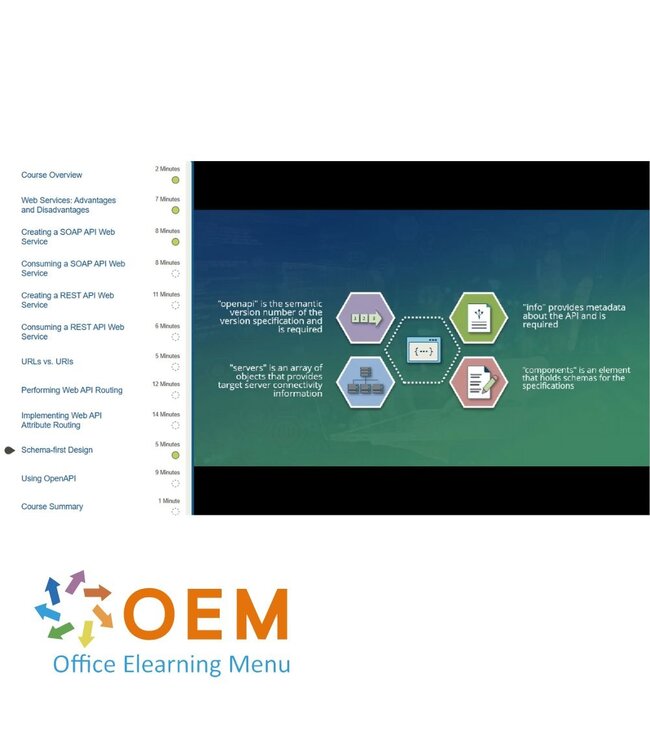 OEM API Development Training