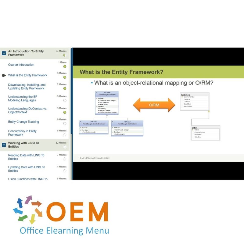 Microsoft Entity Framework Training