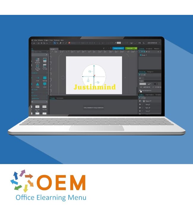 OEM Using Justinmind Training