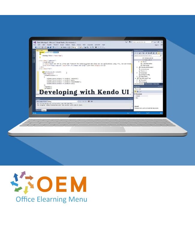 OEM Developing with Kendo UI Training