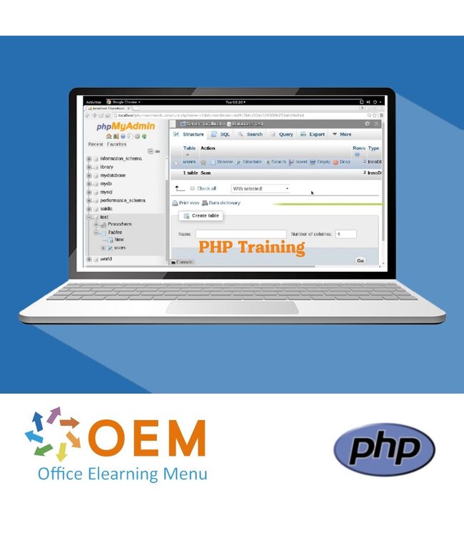 OEM PHP Training