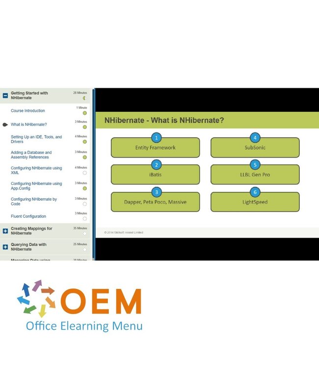 OEM NHibernate Fundamentals Training