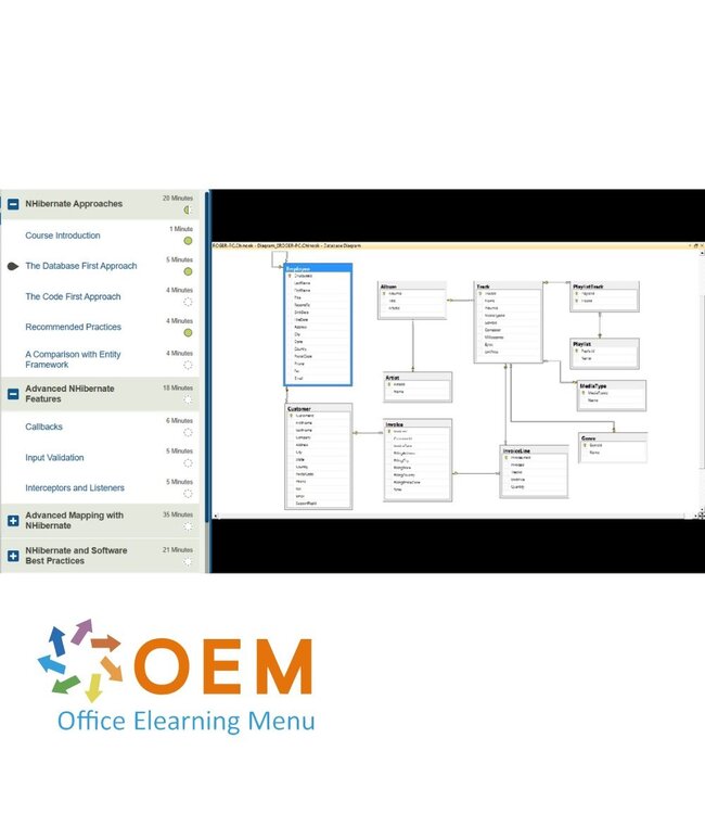 OEM NHibernate Fundamentals Training