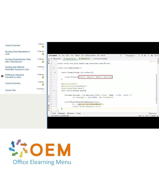OEM Testing with JUnit Training