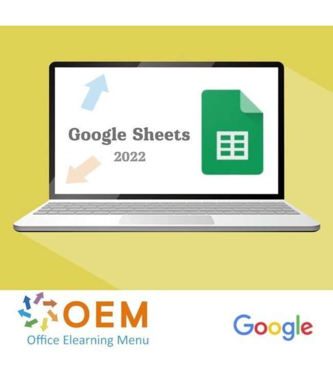 Google Google Sheets Cursus E-Learning