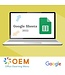 Google Google Sheets Cursus E-Learning