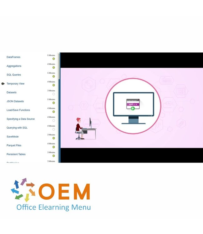 OEM Big Data Development with Apache Spark Training