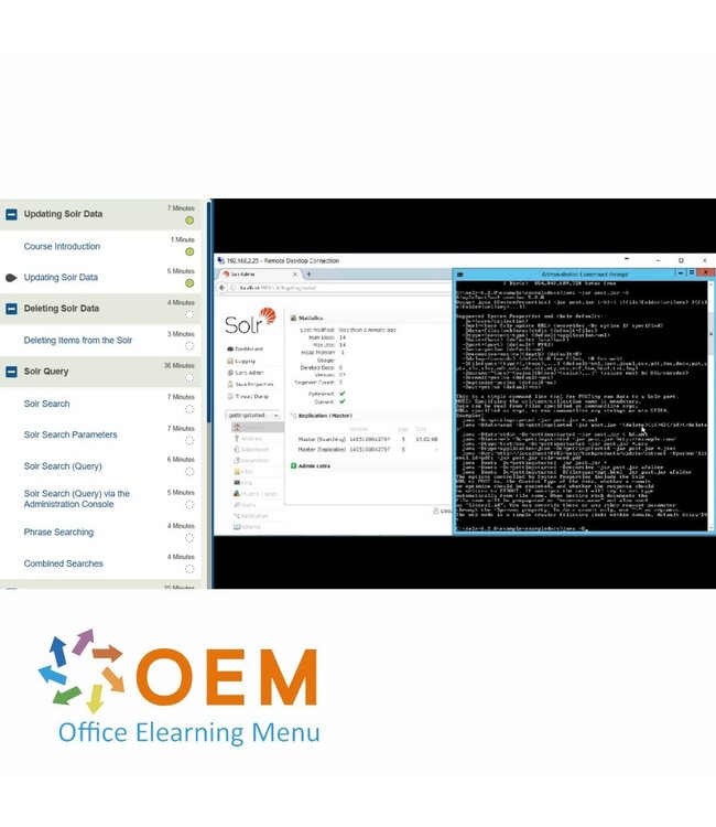 OEM Apache Solr Essentials Training